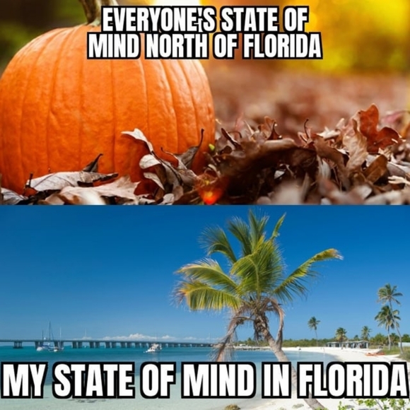 FOLLOW BLUES 💙 GET FOLLOWERS - Picture 5 of 11